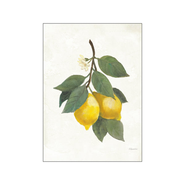 Lemon Branch II — Art print by Wild Apple from Poster & Frame