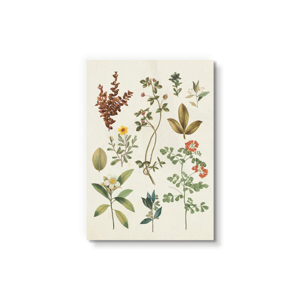 Victorian Garden III - Art Card