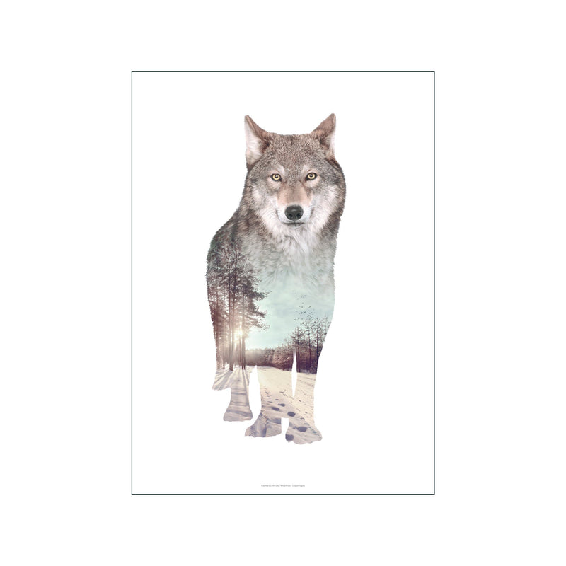 Wolf — Art print by Faunascapes from Poster & Frame