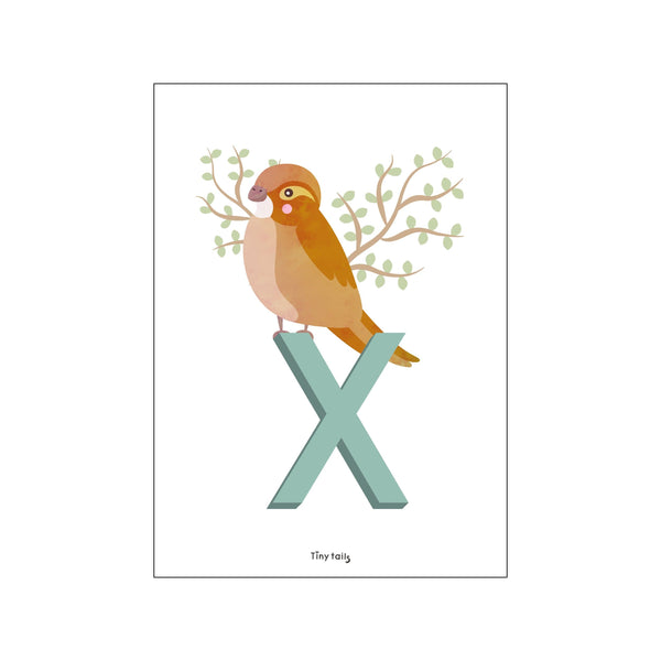 X for Xenops — Art print by Tiny Tails from Poster & Frame