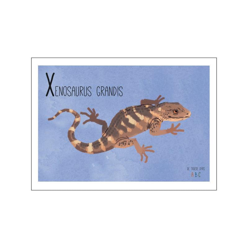 Xenosaurus grandis — Art print by Line Malling Schmidt from Poster & Frame
