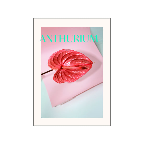 Anthurium II — Art print by Scandiboom from Poster & Frame