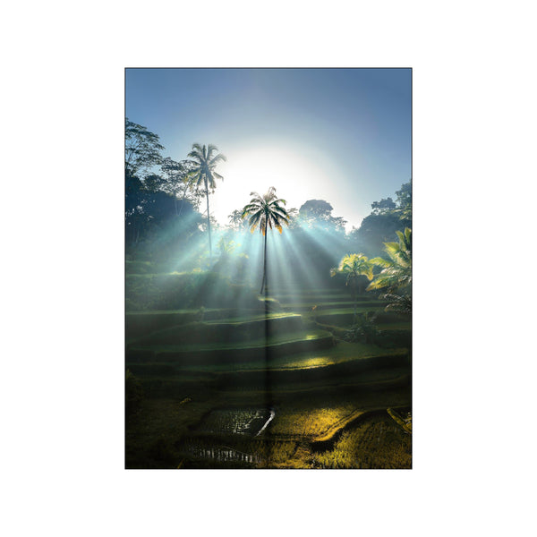 Balinese Morning — Art print by Malthe Zimakoff from Poster & Frame