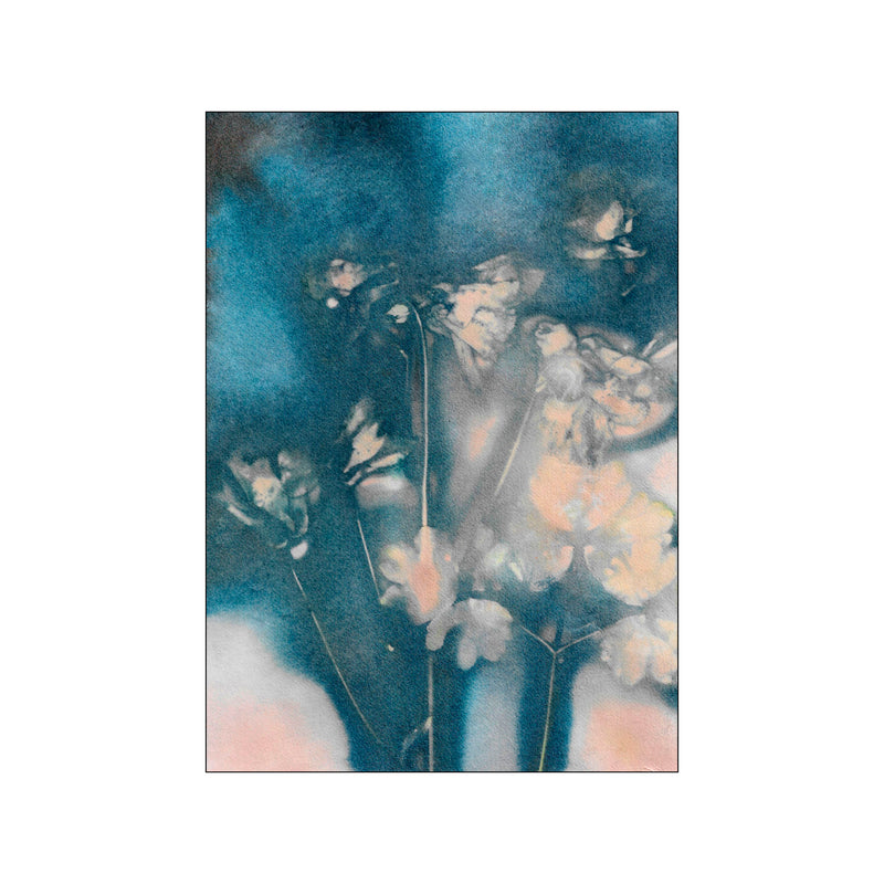 Columbine 2 Peach/Blue — Art print by Pernille Folcarelli from Poster & Frame
