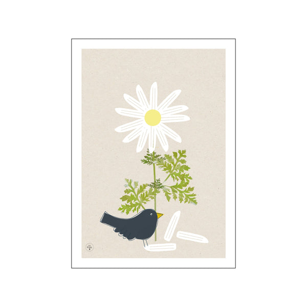 Daisy Blackbird — Art print by Lydia Wienberg from Poster & Frame