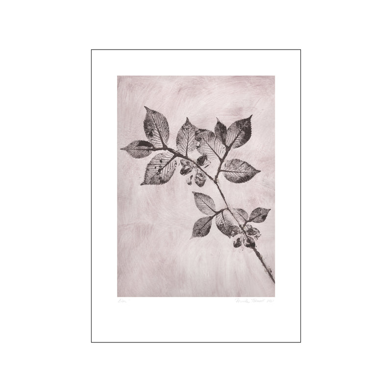 Elm 1 Dusty Brown — Art print by Pernille Folcarelli from Poster & Frame