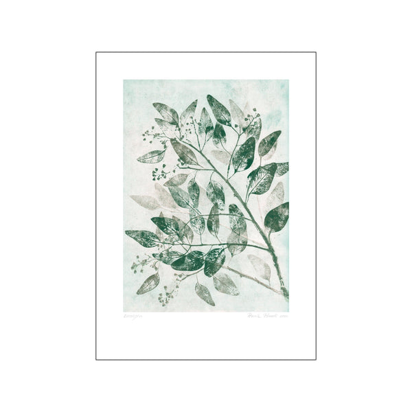 Eucalyptus 1 - Green — Art print by Pernille Folcarelli from Poster & Frame