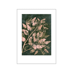 Eucalyptus 1 - Moss blush — Art print by Pernille Folcarelli from Poster & Frame