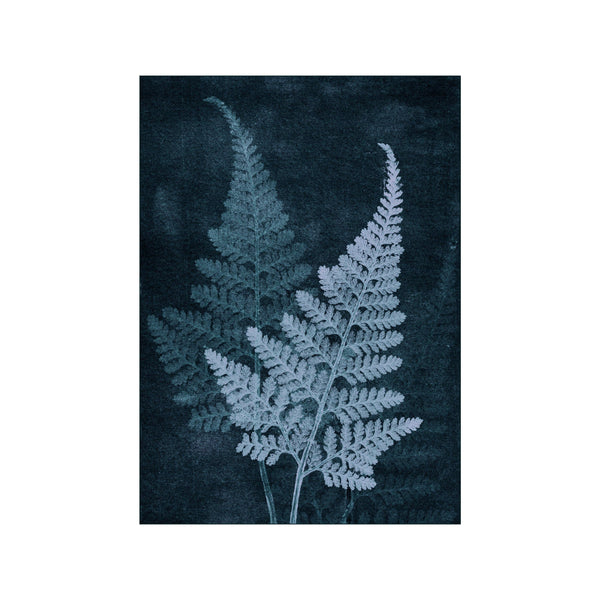 Fern Darkblue — Art print by Pernille Folcarelli from Poster & Frame