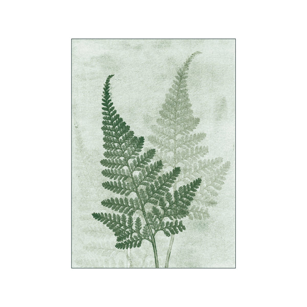 Fern Green — Art print by Pernille Folcarelli from Poster & Frame