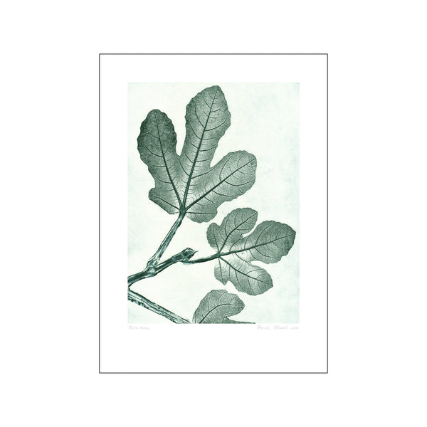 Fig 1 - Green — Art print by Pernille Folcarelli from Poster & Frame