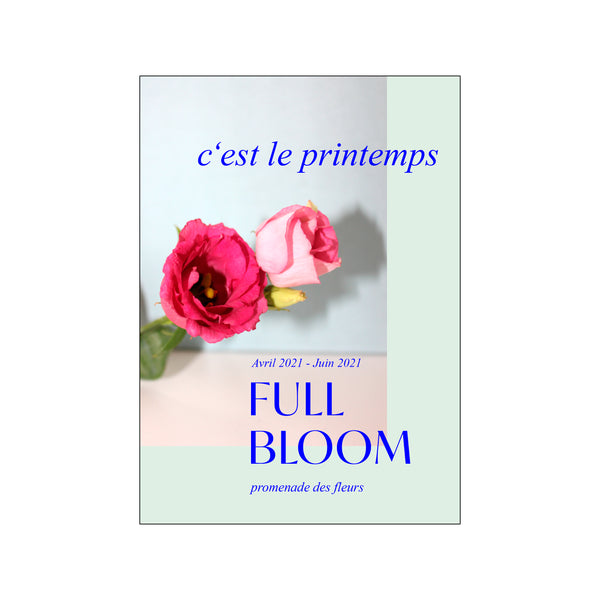 Full Bloom (Mint) — Art print by Scandiboom from Poster & Frame