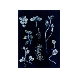 Herbs & Seaweed - Garden Herb Dark Blue — Art print by Pernille Folcarelli from Poster & Frame
