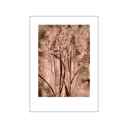 Grass - Dark blush — Art print by Pernille Folcarelli from Poster & Frame