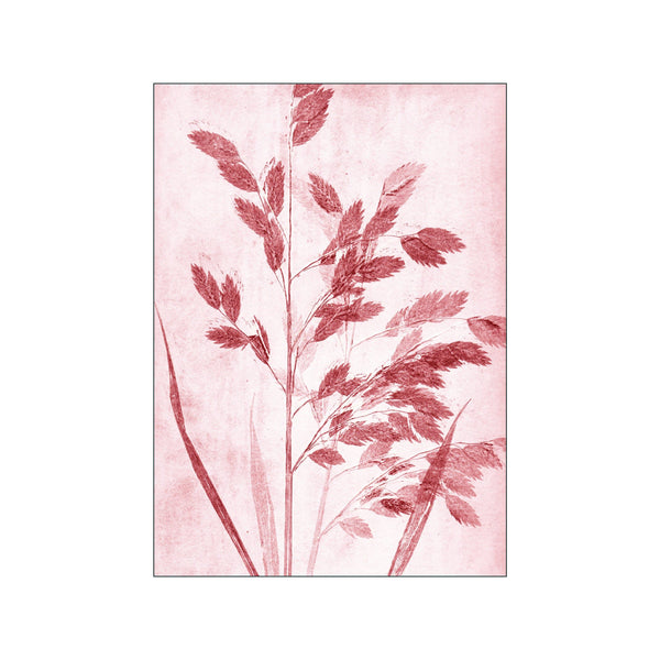 Grass Dusty Rose — Art print by Pernille Folcarelli from Poster & Frame
