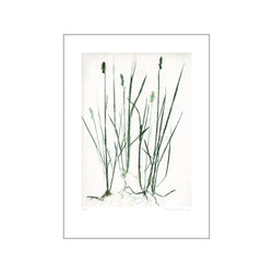 Grass - Green — Art print by Pernille Folcarelli from Poster & Frame