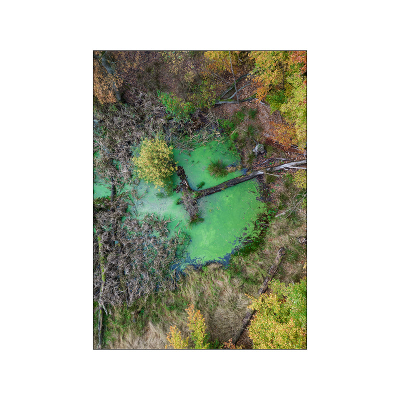 Green Pond No.1 — Art print by PLAKATfar from Poster & Frame