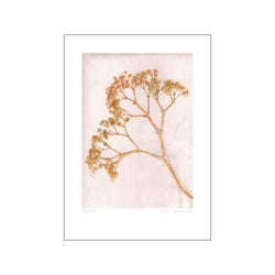 Gypso - Ochre — Art print by Pernille Folcarelli from Poster & Frame