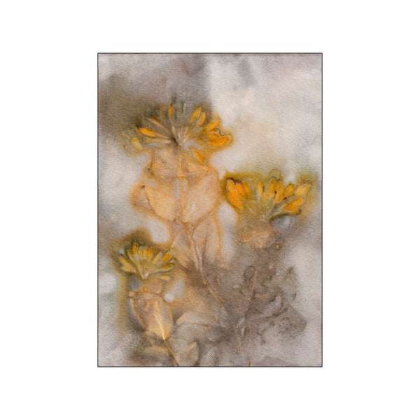 Honeysuckle 1 Saffron/Taupe — Art print by Pernille Folcarelli from Poster & Frame