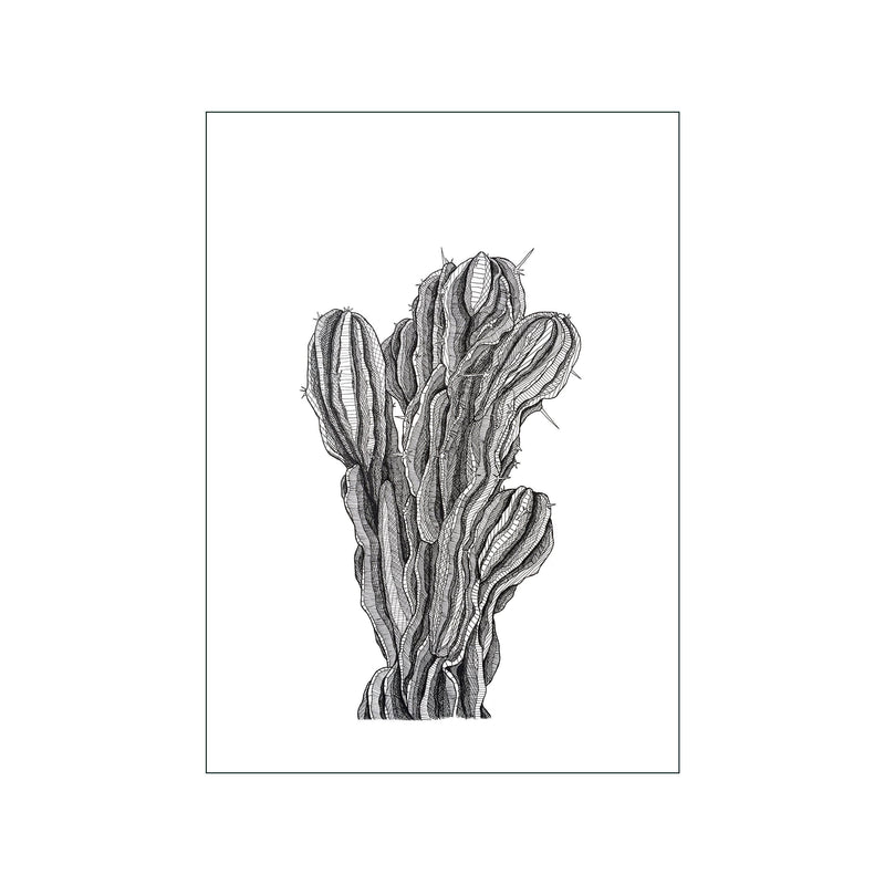 Kaktus — Art print by Maya Gürtler from Poster & Frame