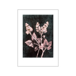 Lilac 2 Blush Darkgreen — Art print by Pernille Folcarelli from Poster & Frame