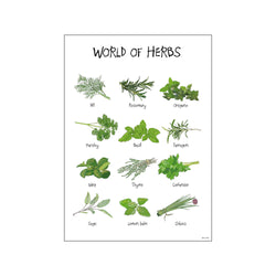 World of Herbs — Art print by Mouse & Pen from Poster & Frame
