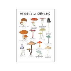 World of Mushrooms — Art print by Mouse & Pen from Poster & Frame