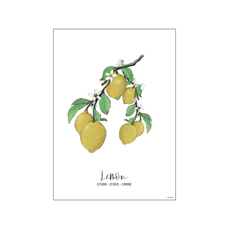 Citron - Lemon — Art print by Mouse & Pen from Poster & Frame