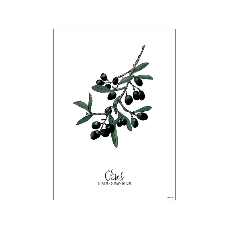 Oliven - Olive — Art print by Mouse & Pen from Poster & Frame