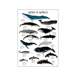 World of Whales — Art print by Mouse & Pen from Poster & Frame
