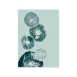 Mushroom - 2 Light Teal — Art print by Pernille Folcarelli from Poster & Frame