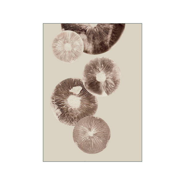 Mushroom - 6 Cream — Art print by Pernille Folcarelli from Poster & Frame