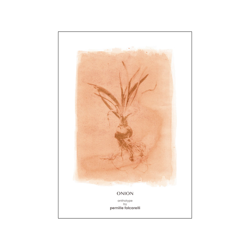 Onion sienna — Art print by Pernille Folcarelli from Poster & Frame