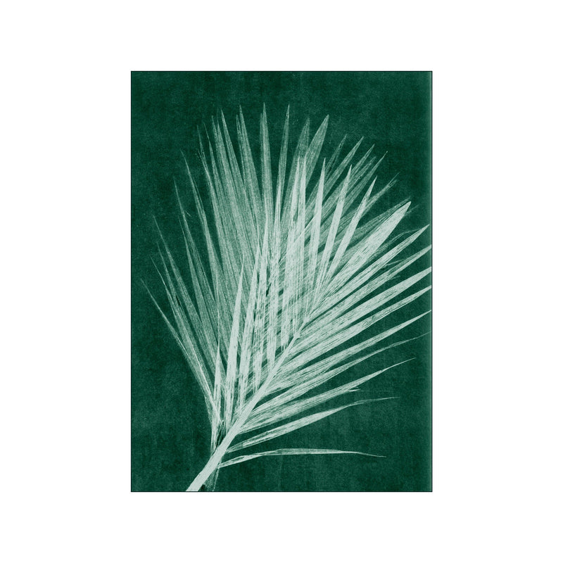 Palm Green — Art print by Pernille Folcarelli from Poster & Frame