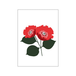 Poppy — Art print by Wonderful Warehouse from Poster & Frame