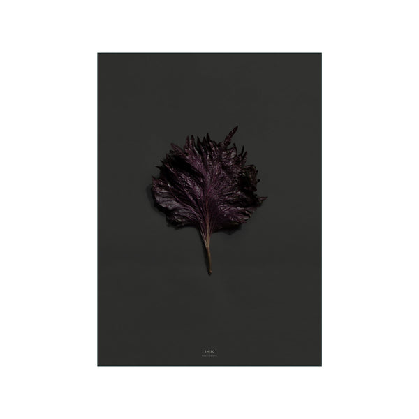 Shiso — Art print by Mad/Plakat from Poster & Frame