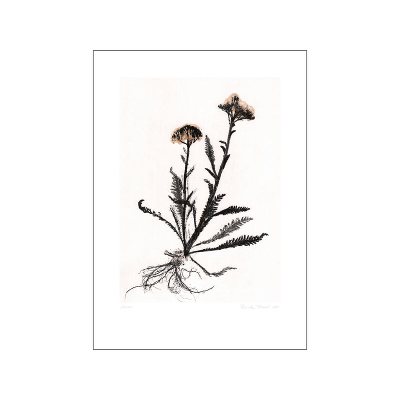 Yarrow 2 Black White — Art print by Pernille Folcarelli from Poster & Frame